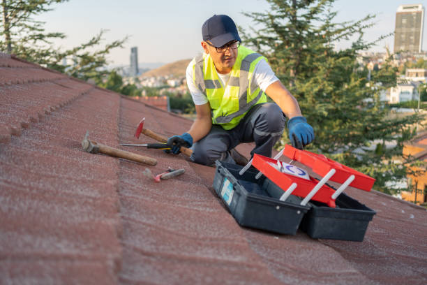 Best Fiber Cement Siding Installation  in Paulsboro, NJ
